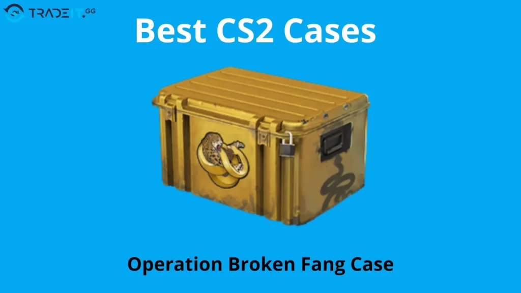 Operation Broken Fang Case as the best cs2 case