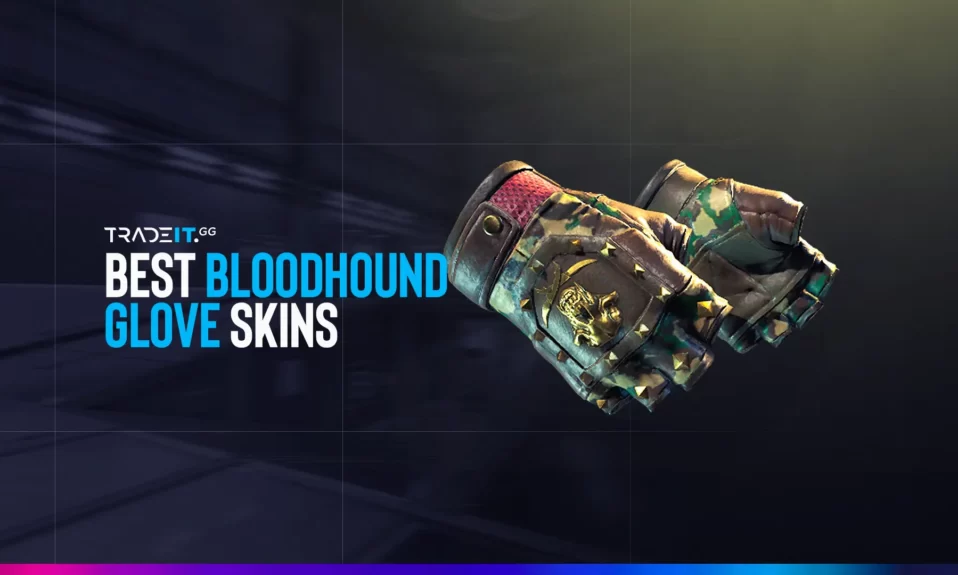 Best Bloodhound Gloves Skins in CS2 – TOP 4