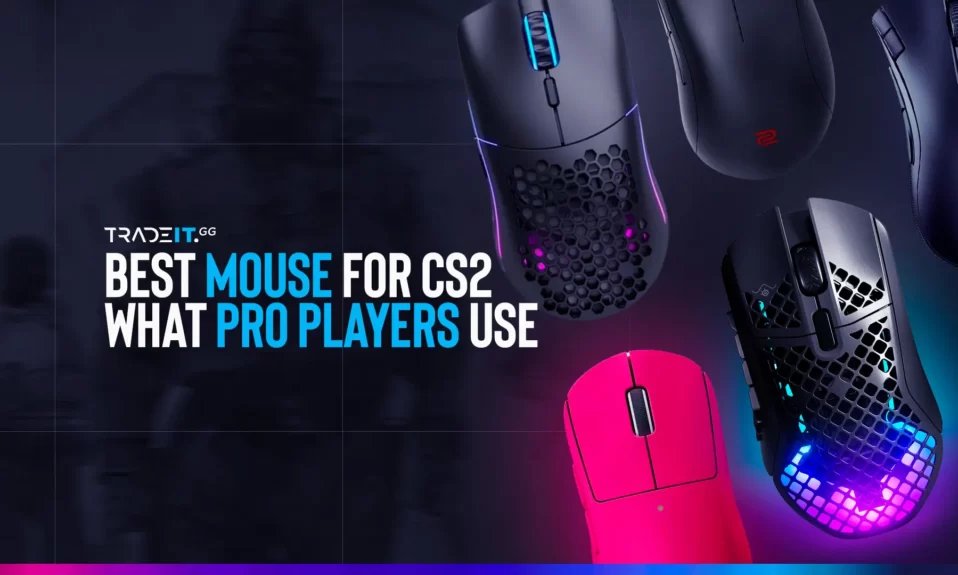 Best Mouse for CS2 – TOP 5