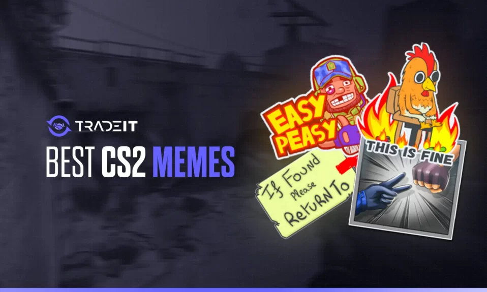 Best CS2 Memes – TOP 10