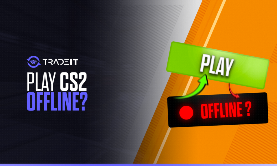 Can You Play CS2 Offline?