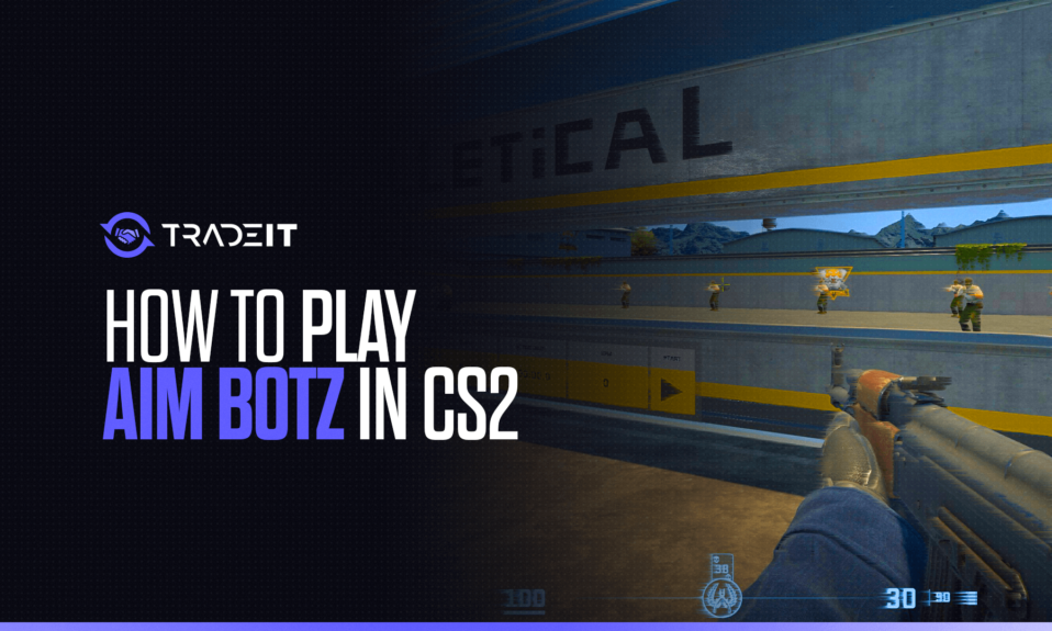 How to Play Aim Botz in CS2?
